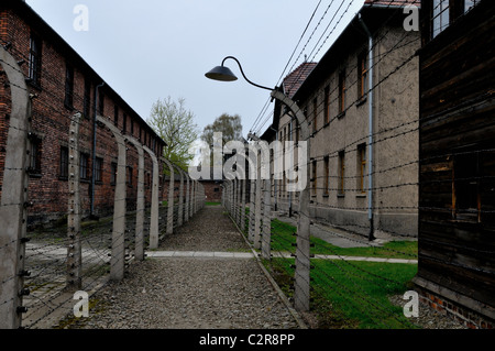 Barbelés - Clôtures électriques divisant les différentes sections du camp de concentration d'Oswiecim -Auschwitz en Pologne Banque D'Images