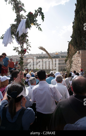 La procession des Rameaux va d'Betphage à Sainte Anne dans la vieille ville à travers le mont des Oliviers. Banque D'Images