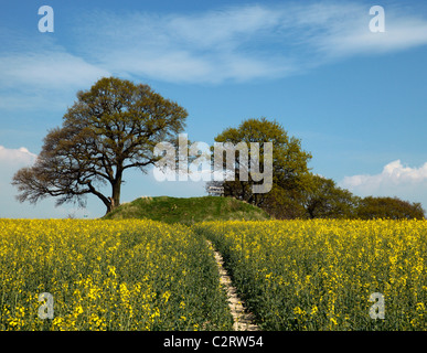 Le Appledore Round Barrow, tumulus funéraire. Banque D'Images