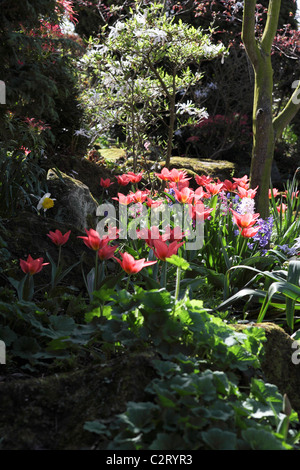 Un cadre naturel dans les limites de la Dingle,une oasis de l'horticulture et jardin public au sein de la carrière à Shrewsbury Banque D'Images