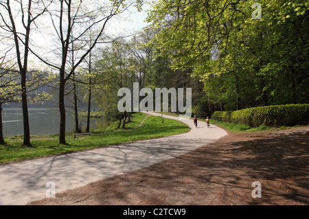 Shearwater sur Longleat Estate, Warminster, Wiltshire, Angleterre, Royaume-Uni Banque D'Images