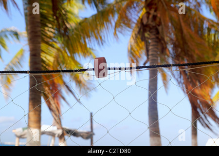 Filet de pêche détail sur fond de plage de palmiers tropicaux Caraïbes Banque D'Images