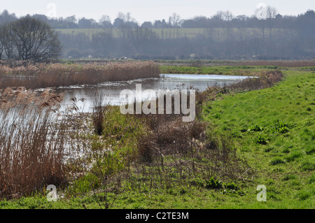 La rivière Stour Cattawade ci-dessus, sur la frontière d'Essex et de Suffolk Banque D'Images