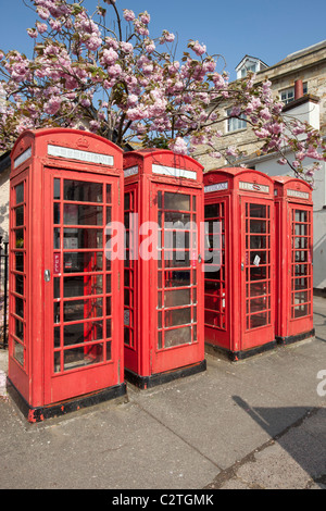 Rangée de 4 cases rouge téléphone britannique à Truro, Cornwall, UK. Banque D'Images