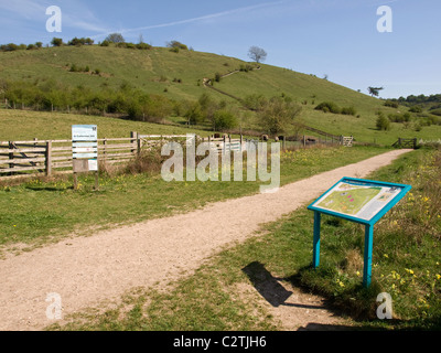 Vue vers St Catherine's Hill Winchester Hampshire England UK Banque D'Images