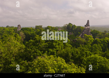 Tikal Guatemala Banque D'Images