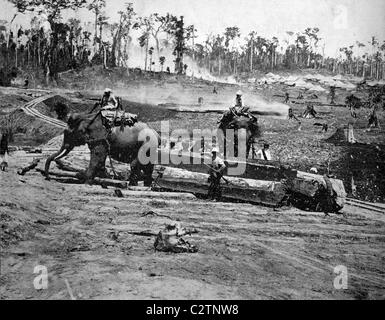 Début d'Autotype Port Blair, Andaman Île de la baie du Bengale, Inde, photographie historique, 1884début d'un marché d'Autotype Banque D'Images