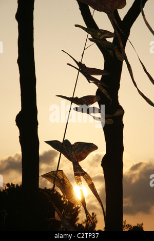 Une sélection de kites pour vendre en parc avec des arbres au coucher du soleil Banque D'Images