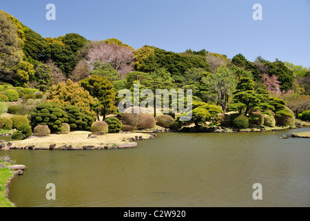 'Jardin Koishikawa Botanical Garden' - Étang et parc japonais au cours de cerisiers en fleurs (Tokyo, Japon) Banque D'Images