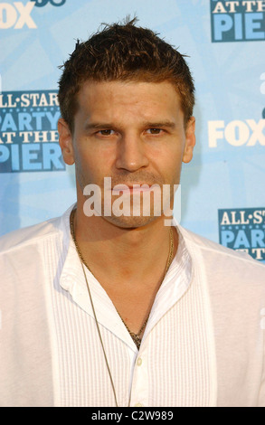 David Boreanaz Fox All-Star party sur le quai des arrivées - tenue à la jetée de Santa Monica à Los Angeles, Californie - 14.07.08 Banque D'Images