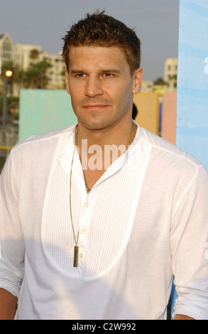 David Boreanaz Fox All-Star party sur le quai des arrivées - tenue à la jetée de Santa Monica à Los Angeles, Californie - 14.07.08 Banque D'Images