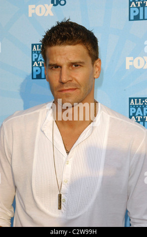 David Boreanaz Fox All-Star party sur le quai des arrivées - tenue à la jetée de Santa Monica à Los Angeles, Californie - 14.07.08 Banque D'Images