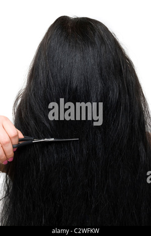 Close up de dos de femme brune cheveux longs et ciseaux à saloon isolé sur fond blanc Banque D'Images