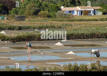 Les étangs de sel sel de mer de Noirmoutier-en-île sur l'Atlantique Français île de Noirmoutier en Vendée, Pays de la Loire Banque D'Images