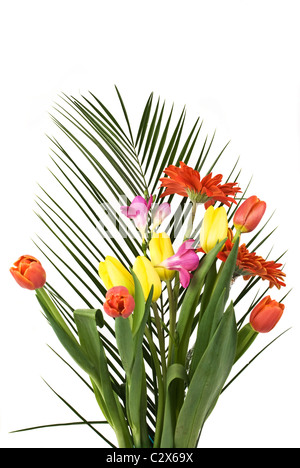 Bouquet de fleurs de printemps sur une feuille d'un palmier isolé sur fond blanc Banque D'Images