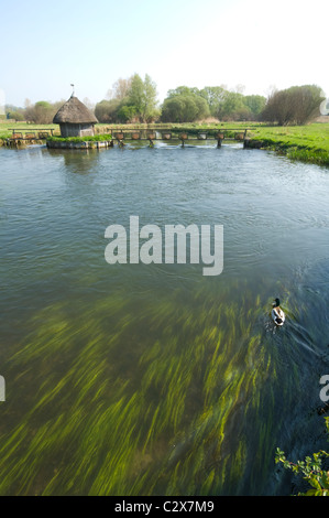 Les pièges de l'anguille d'une cabane de pêcheur à Longstock, rivière Test, Hampshire, Royaume-Uni Banque D'Images