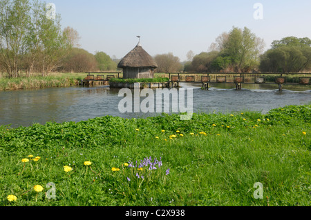 Les pièges de l'anguille d'une cabane de pêcheur à Longstock, rivière Test, Hampshire, Royaume-Uni Banque D'Images