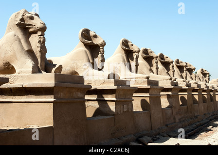 Avenue des béliers - Temple de Karnak - Louxor, Égypte Banque D'Images