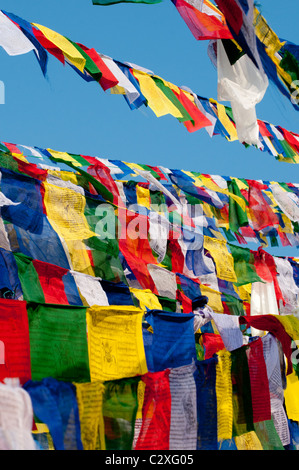 Des drapeaux bouddhistes tibétains ornent le grand Boudha Stupa près de Katmandou, au Népal Banque D'Images