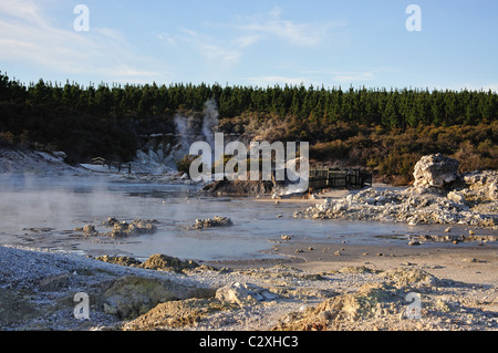 Des piscines de boue fumante, Hell's Gate et WaiOra Spa, Rotorua, Bay of Plenty, North Island, New Zealand Banque D'Images