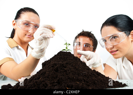 L'équipe scientifique botanique dans des expériences de laboratoire sur une plante dans le sol , un scientifique femme pointant sur site de production. Banque D'Images