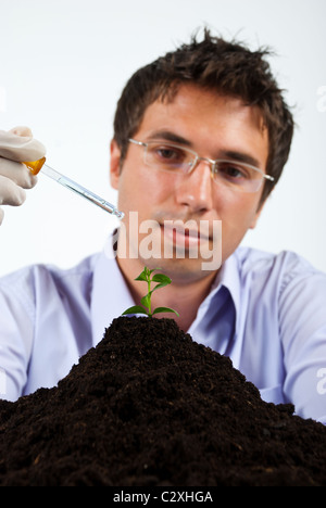 L'homme chercheur travaillant en laboratoire, selective focus on plant Banque D'Images