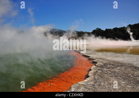 Champagne Pool, Wai-O-Tapu Thermal Wonderland, Waiotapu, Bay of Plenty, Nouvelle-Zélande Région Banque D'Images