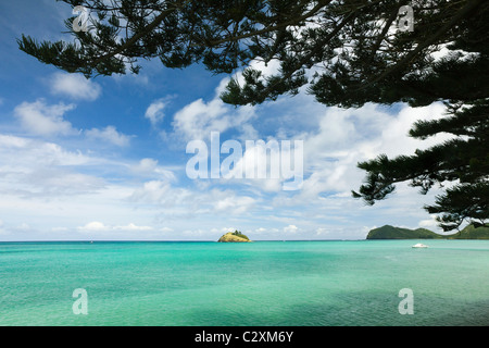 L'Île minuscule Blackburn & Norfolk Island pines par la lagune avec le monde des récifs coralliens ; plus au sud de l'île Lord Howe, de l'Australie Banque D'Images