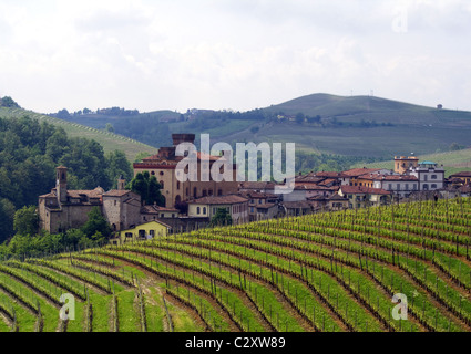 Vignoble en Piémont, Italie Banque D'Images