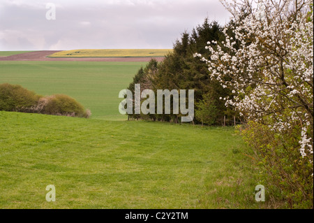 Une scène de la campagne bretonne au printemps de collines Banque D'Images