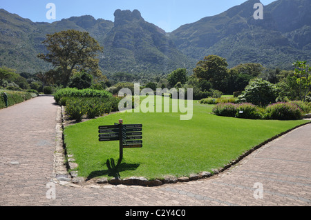 Chute de Kirstenbosch National Botanical Gardens, Cape Town Banque D'Images