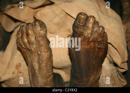 Pieds momifiés de Asru, une chanteuse du Temple de Thèbes prises au musée de Manchester, Angleterre, RU Banque D'Images