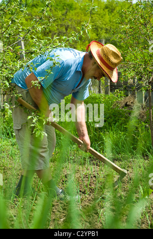 Portrait de paysan heureux de creuser dans le jardin avec des oignons de printemps au pays Banque D'Images