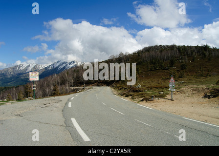 Route de montagne, sommet col de Vergio, Corse, France Banque D'Images