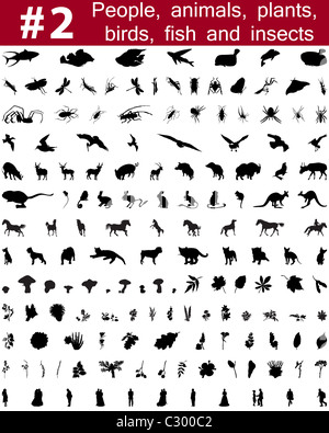 Grande collection de silhouettes vecteur collage de personnes, d'animaux, oiseaux, poissons, insectes et fleurs Banque D'Images