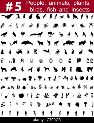 Grande collection de silhouettes vecteur collage de personnes, d'animaux, oiseaux, poissons, insectes et fleurs Banque D'Images