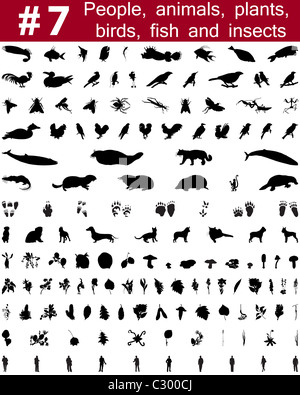 Grande collection de silhouettes vecteur collage de personnes, d'animaux, oiseaux, poissons, insectes et fleurs Banque D'Images