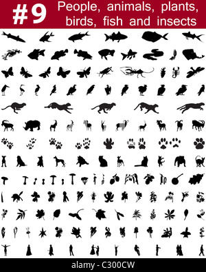 Grande collection de silhouettes vecteur collage de personnes, d'animaux, oiseaux, poissons, insectes et fleurs Banque D'Images