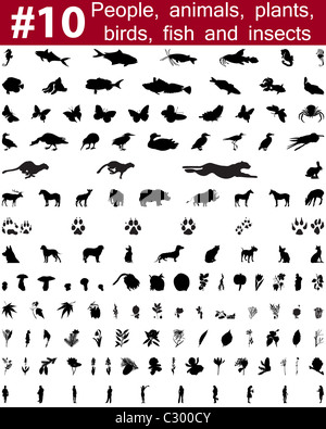 Grande collection de silhouettes vecteur collage de personnes, d'animaux, oiseaux, poissons, insectes et fleurs Banque D'Images