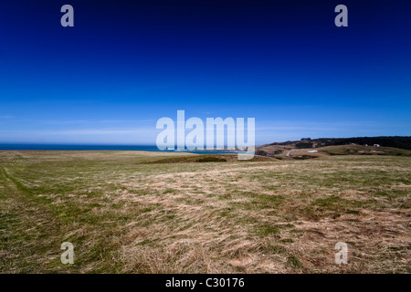 Champ d'herbe sur une côte avec ciel bleu. La Nouvelle-Zélande. Banque D'Images