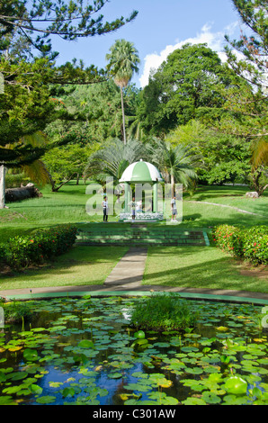 Les jardins botaniques, les plus anciennes de l'hémisphère occidental, à Kingstown, Saint Vincent Banque D'Images