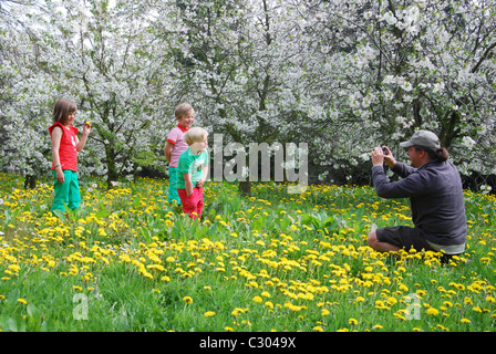 Enfants jouant parmi des arbres fruitiers en fleurs, la Hesbaye Belgique Banque D'Images