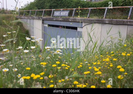 Paysage de l'ancien site Olympique, le centre d'attention pour les offres infructueux de 1999/2003, envahis par et sous-utilisées. Banque D'Images