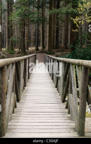 Pont de bois sur la rivière Shimna, Irlande du Nord, dans une scène de jeu des trônes Banque D'Images