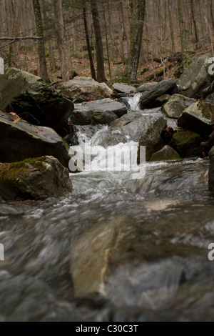 Le dégel du printemps apporte de l'eau fraîche à un flux à un parc de l'ouest du Massachusetts sur le Mohawk Trail. Banque D'Images