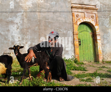 Chevrier qui tend à ses chèvres à Immouzzer, Maroc Banque D'Images