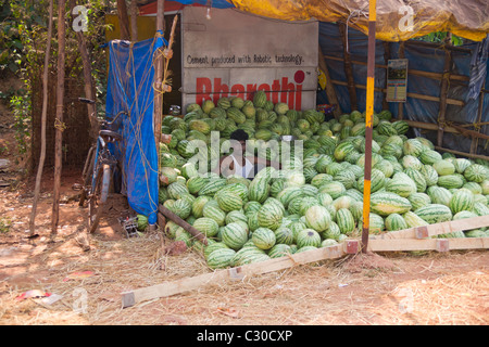 Le vendeur de pastèque Banque D'Images