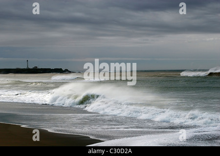 Point Arena la sentinelle se dresse le phare sur la côte nord de la Californie comme vu de Manchester Beach Banque D'Images