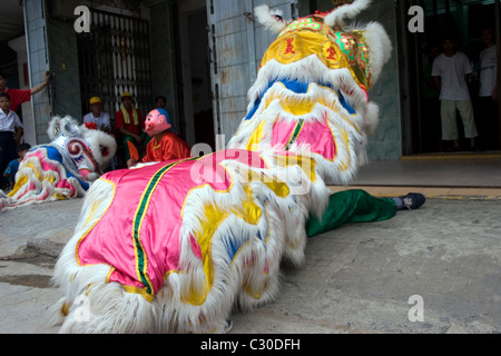 Un homme asiatique porte un costume dragon coloré tout en célébrant le Nouvel An chinois au Cambodge. Banque D'Images