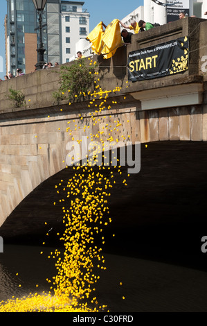 Le début de la 2e course de canards Manchester l'événement de bienfaisance a lieu sur la rivière Irwell, Spinningfields, le Vendredi saint. Banque D'Images